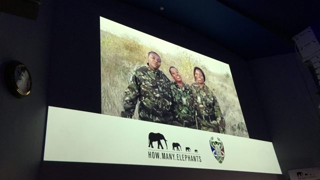 Video message from Black Mambas to How Many Elephants event at Royal Geographical Society