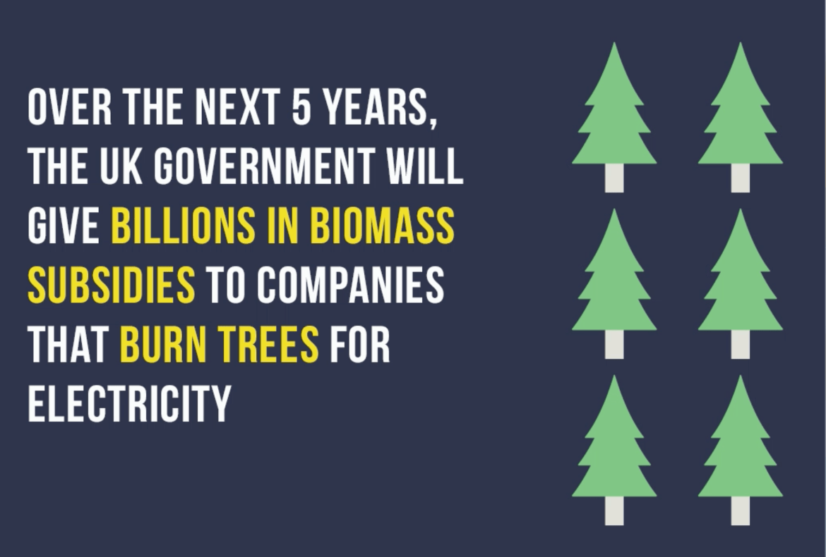 cut carbon not forests - burning trees infographic