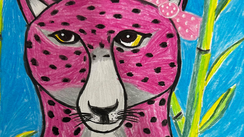 CCF Artwork Competitors 2024 • Cheetah Conservation Fund