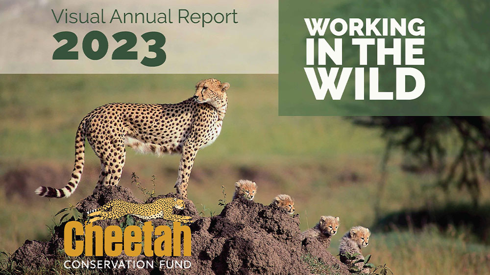 Visible Annual Report – 2023